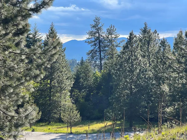 $295,000 | 6557 South Buckrail Road, Harrison, ID 83833