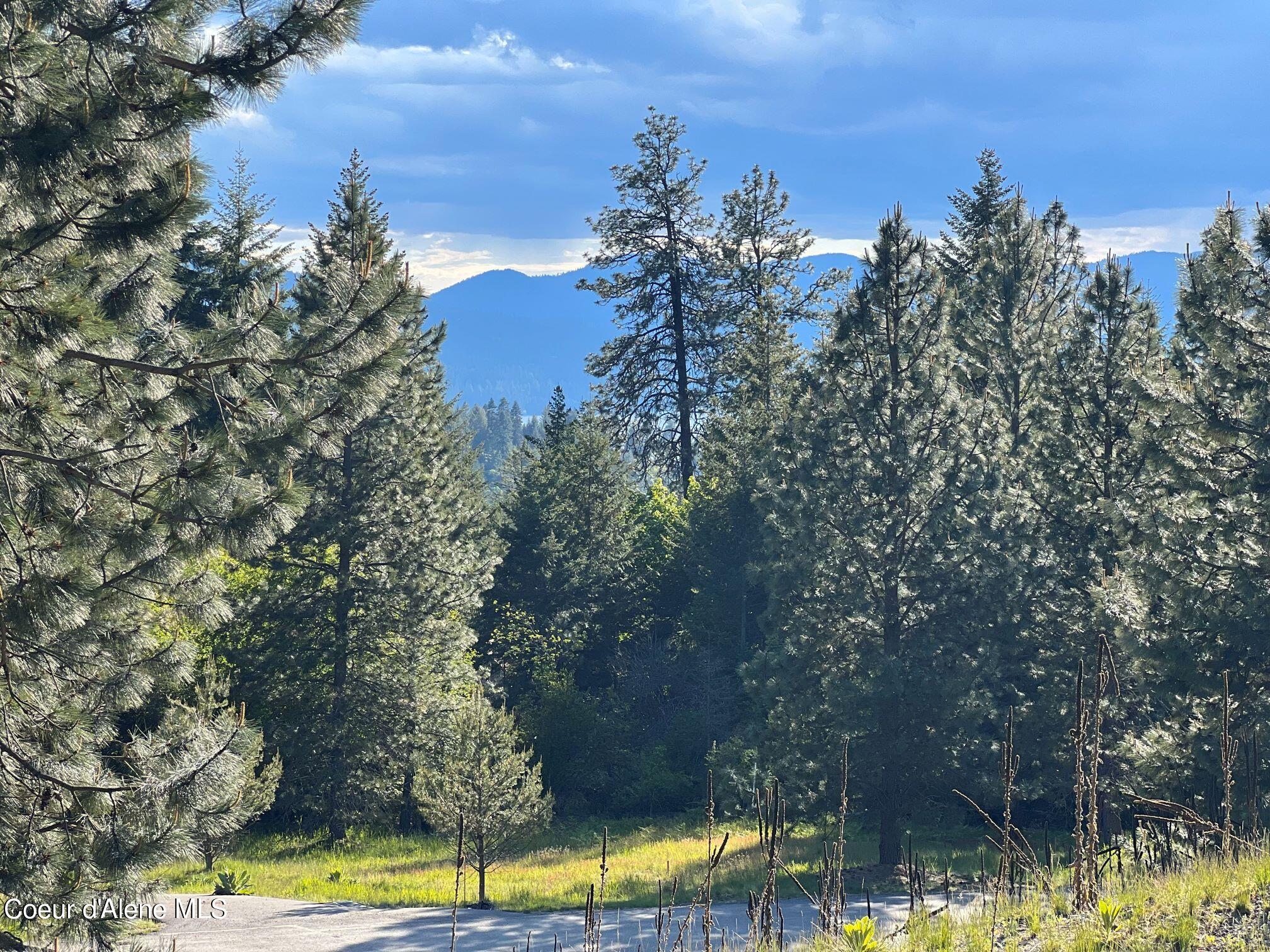 6557 South Buckrail Road Harrison, ID 83833 - Photo 1 of 16 IMG_3572 (002)