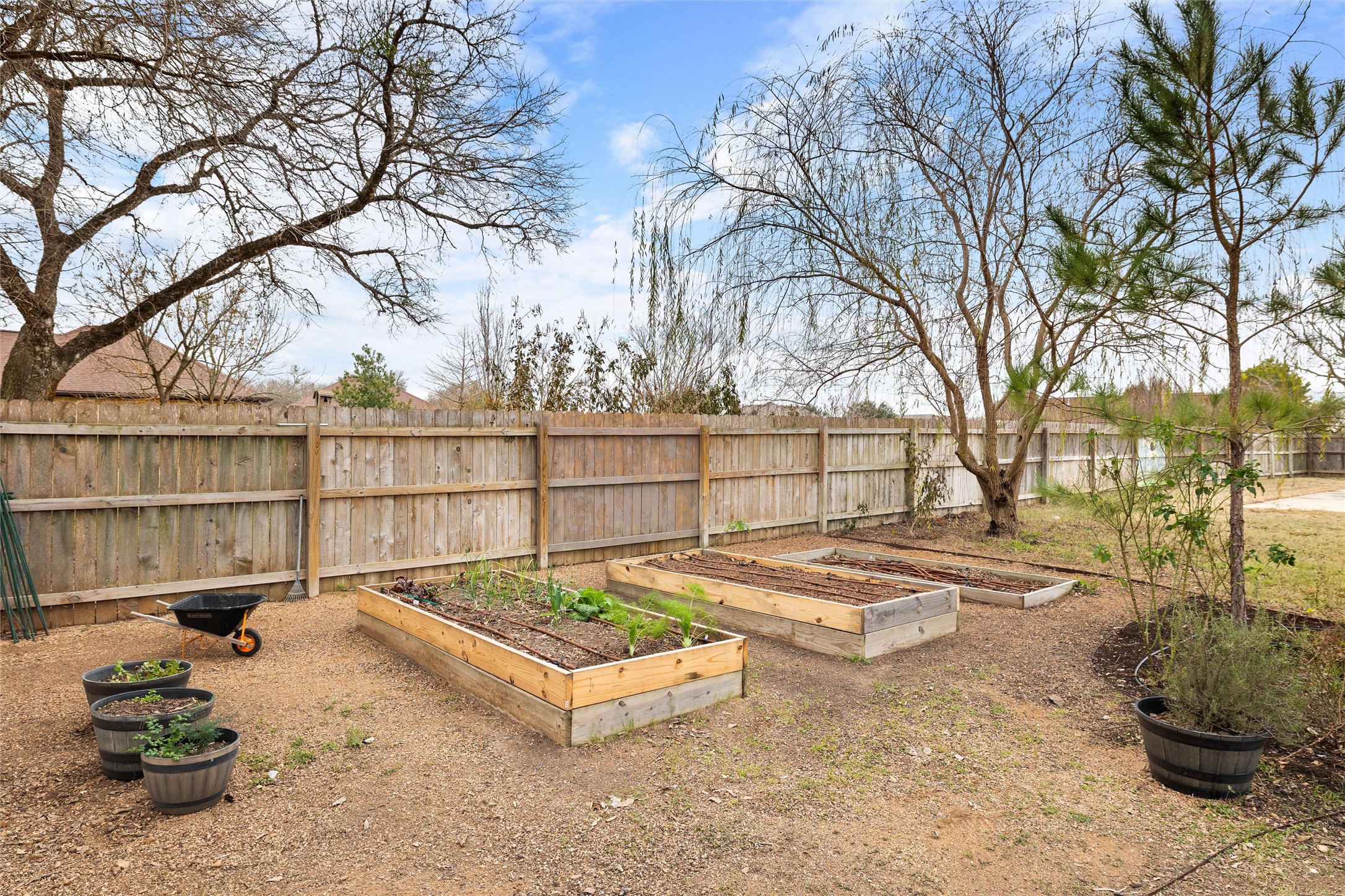 106 Fallow Way Bastrop, TX 78602 - Photo 38 of 40 Fenced backyard with a garden