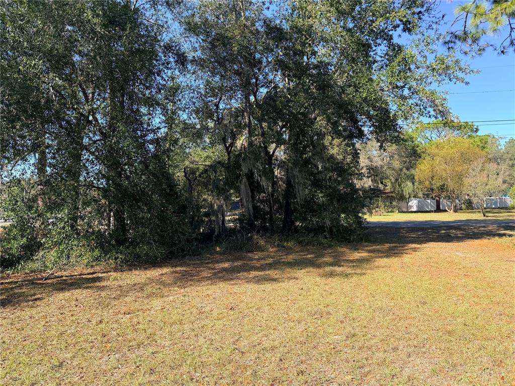 Oakcrest Circle Brooksville, FL 34604 - Photo 4 of 8 a view of yard