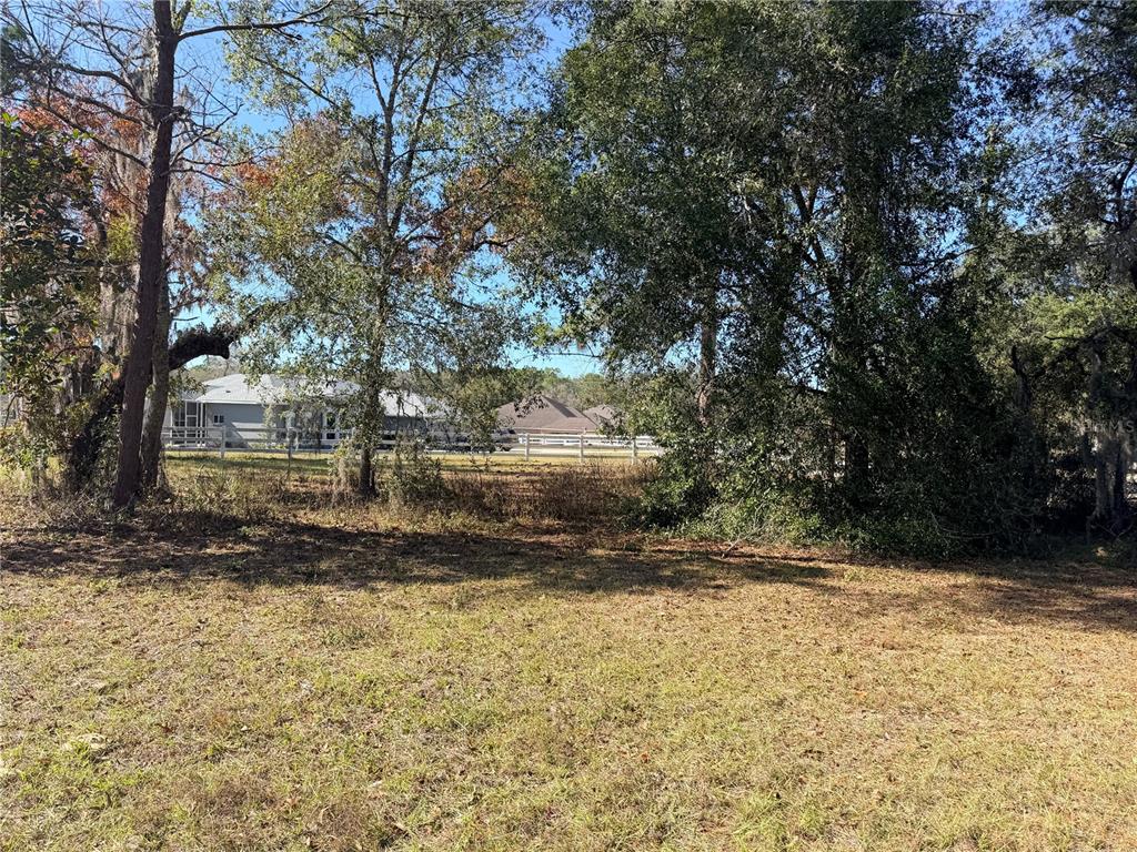 Oakcrest Circle Brooksville, FL 34604 - Photo 5 of 8 a view of yard with trees