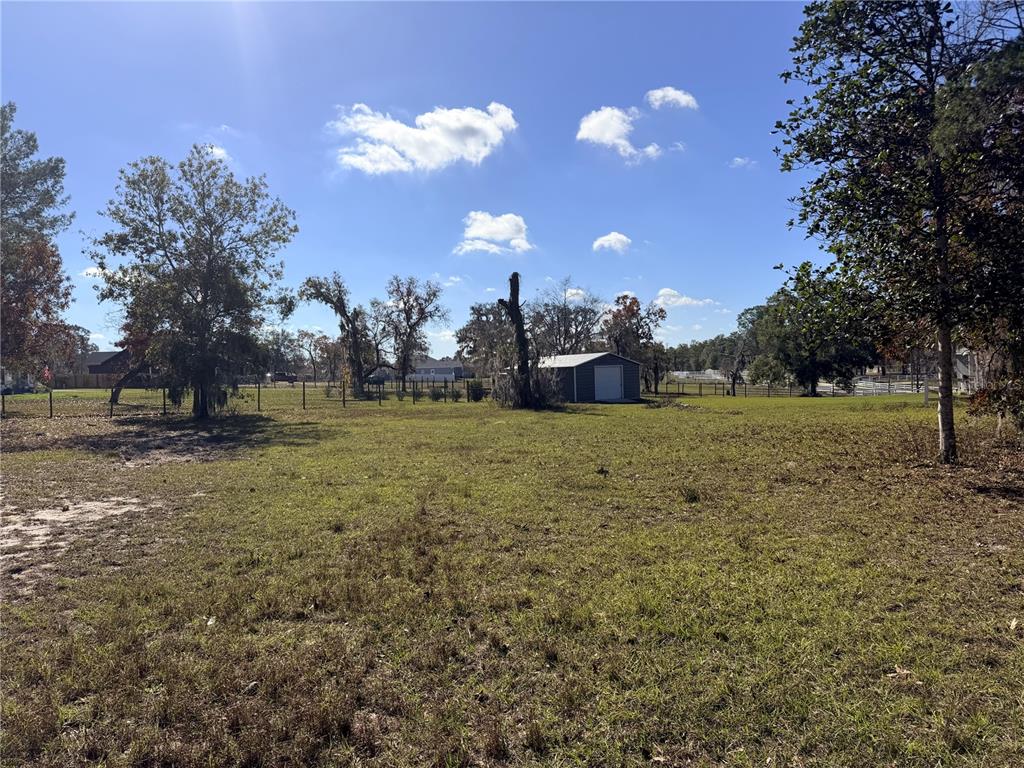 Oakcrest Circle Brooksville, FL 34604 - Photo 6 of 8 a view of a tree with a yard