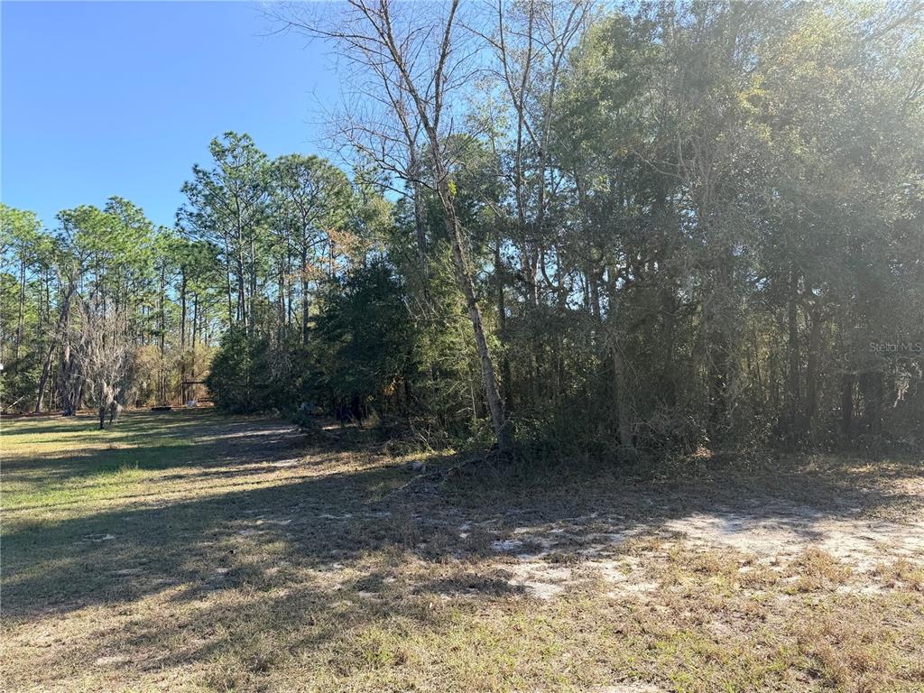 Oakcrest Circle Brooksville, FL 34604 - Photo 7 of 8 a view of a yard with trees