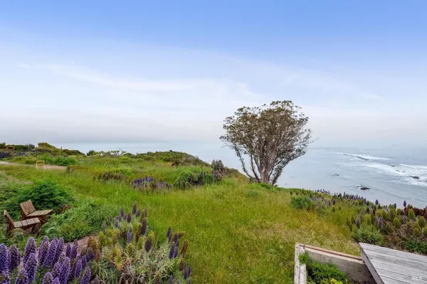 a view of a garden with an ocean