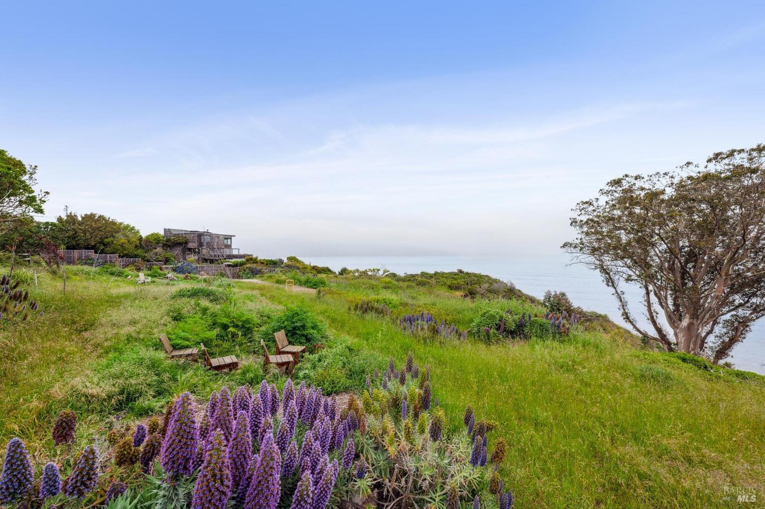 20 Oak Road Bolinas, CA 94924 - Photo 6 of 8 a view of a garden with an ocean