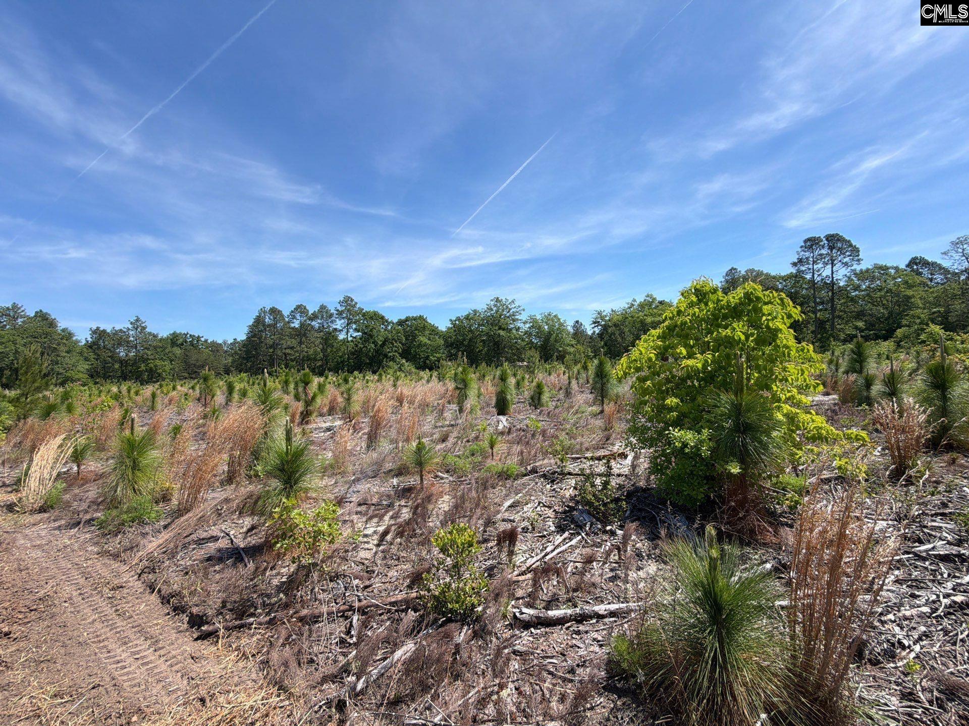 8 Holstein Road Wagener, SC 29164 - Photo 10 of 14