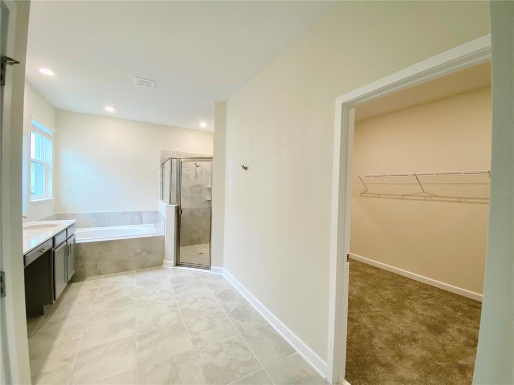 2768 Norway Maple Court Ocoee, FL 34761 - Photo 19 of 35 a bathroom with a bathtub and a sink