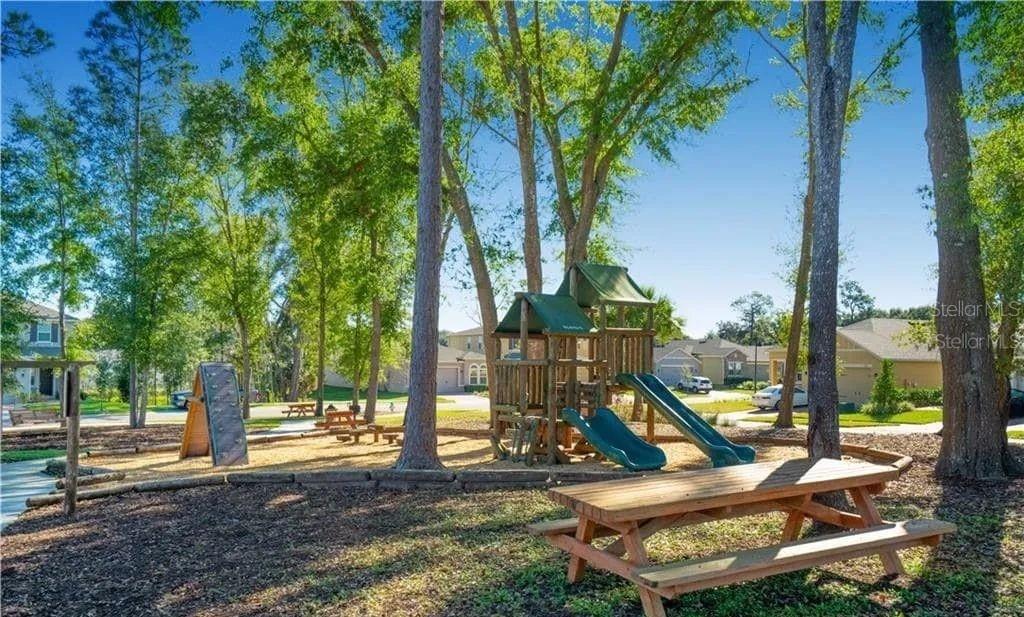 2768 Norway Maple Court Ocoee, FL 34761 - Photo 31 of 35 a view of a park with slide