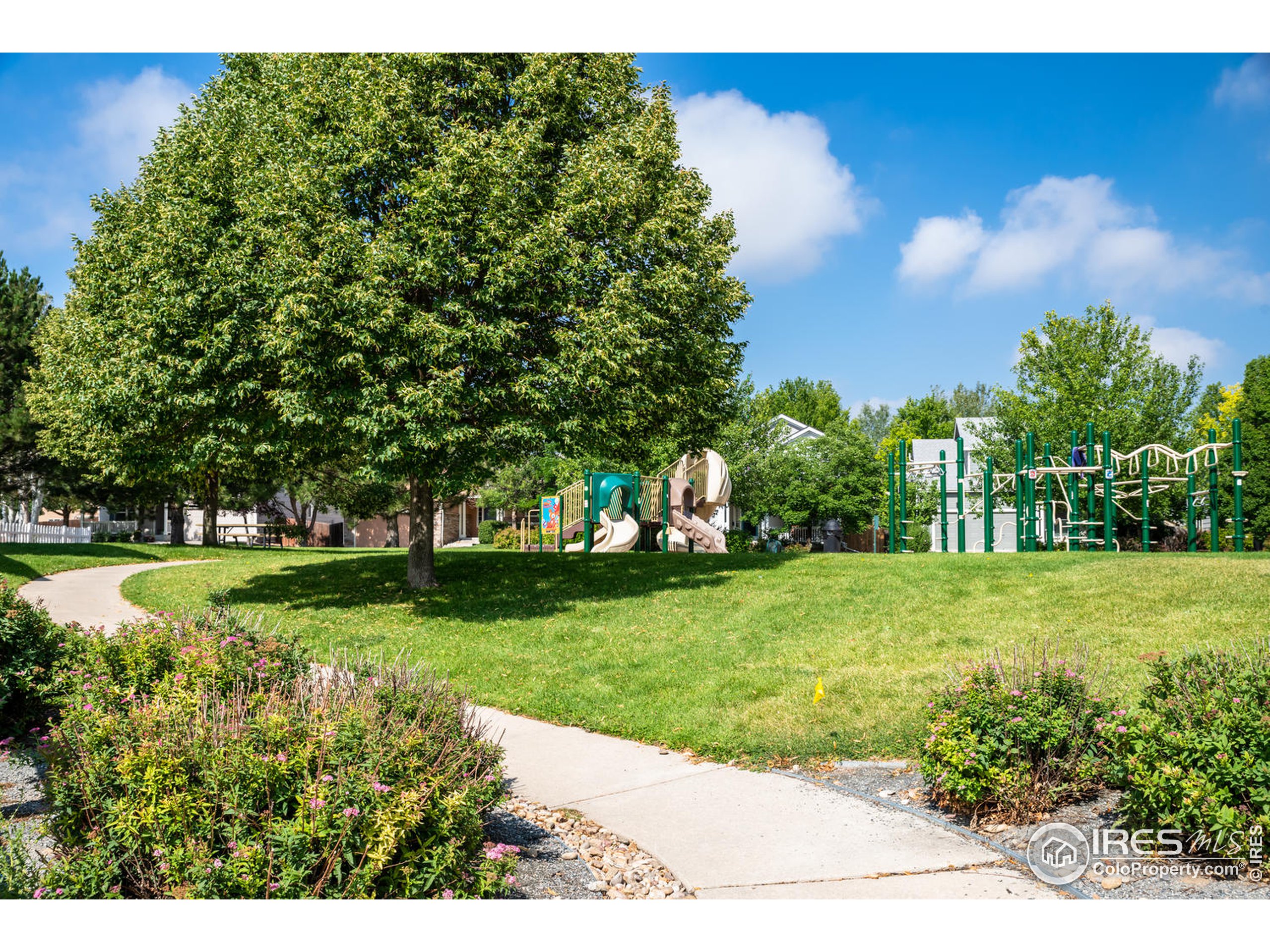 7151 High Street Frederick, CO 80504 - Photo 29 of 29