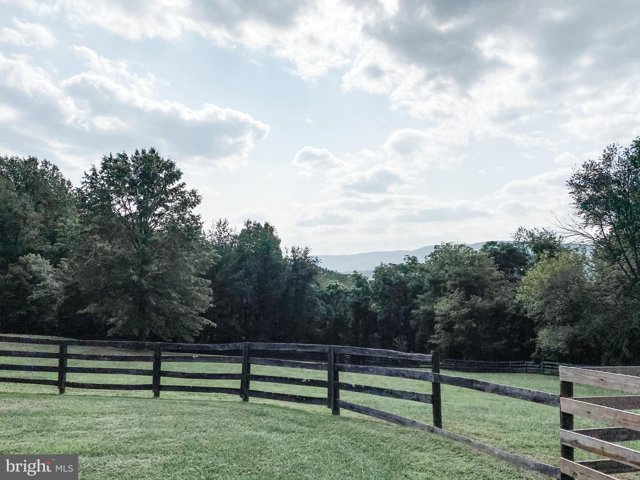 20819 Townsend Road Rohrersville, MD 21779 - Photo 53 of 57 Gallery Image 53