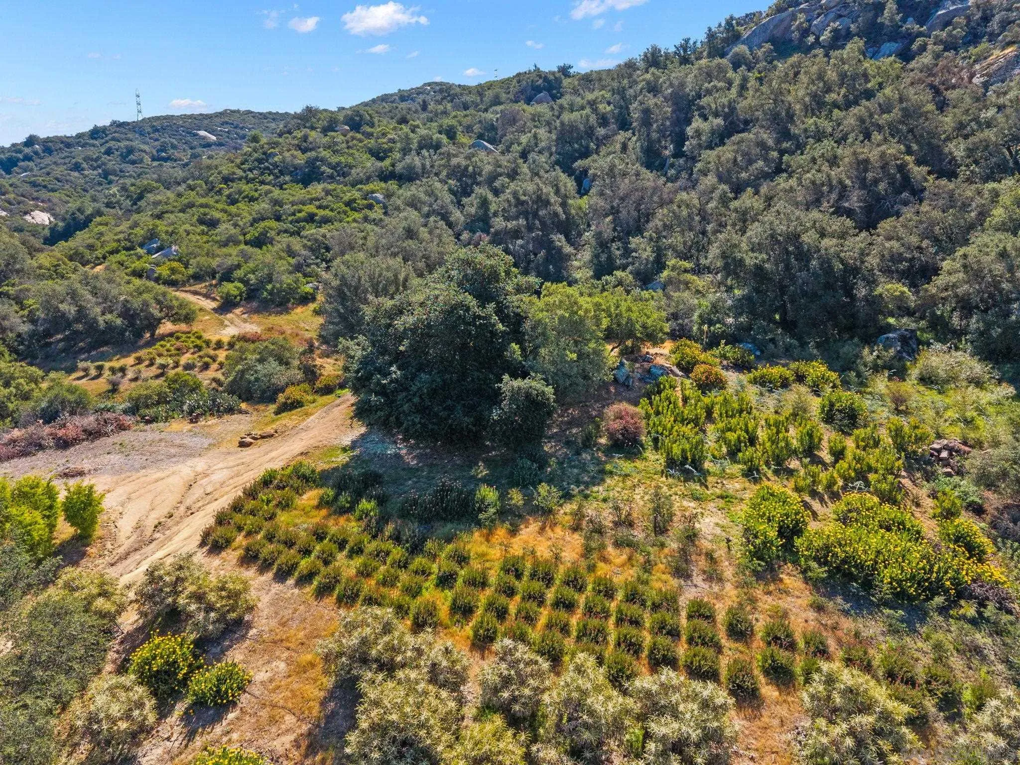 7051 Mt Olympus Road Fallbrook, CA 92028 - Photo 37 of 48