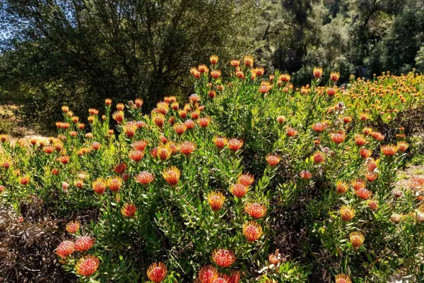 $3,600,000 | 7051 Mt Olympus Road, Fallbrook, CA 92028