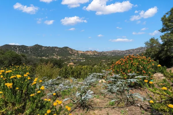 $3,600,000 | 7051 Mt Olympus Road, Fallbrook, CA 92028