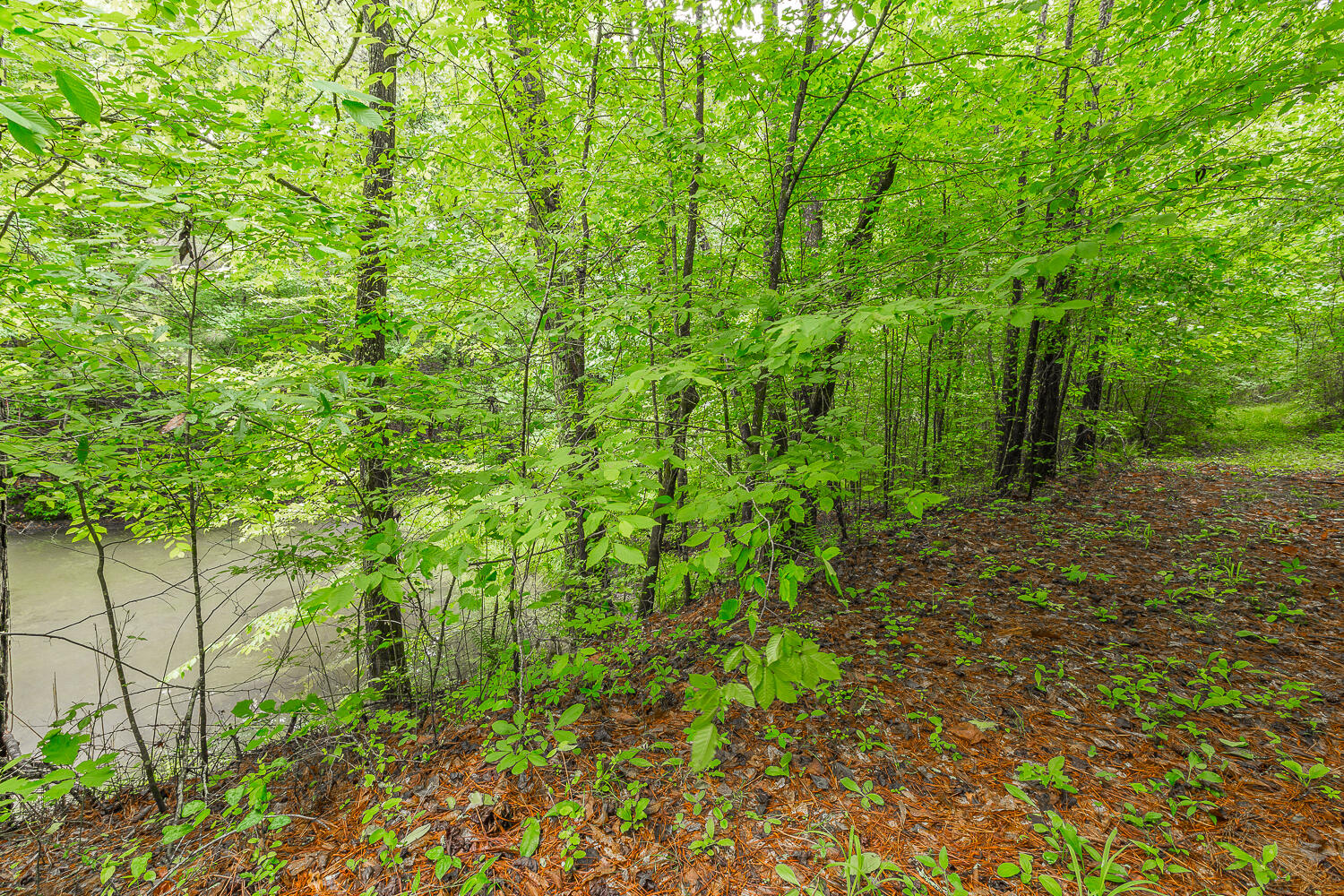 411 Guinn Road Dalton, GA 30721 - Photo 35 of 48 411 Guinn Road HD -1