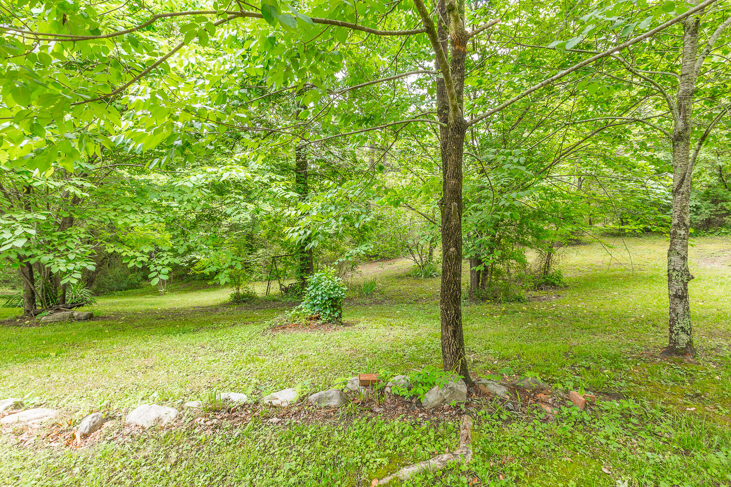 411 Guinn Road Dalton, GA 30721 - Photo 41 of 48 411 Guinn Road HD -10