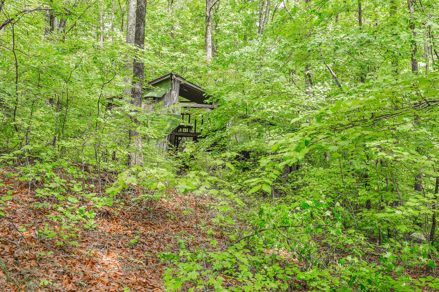 411 Guinn Road Dalton, GA 30721 - Photo 48 of 48 411 Guinn Road HD -5