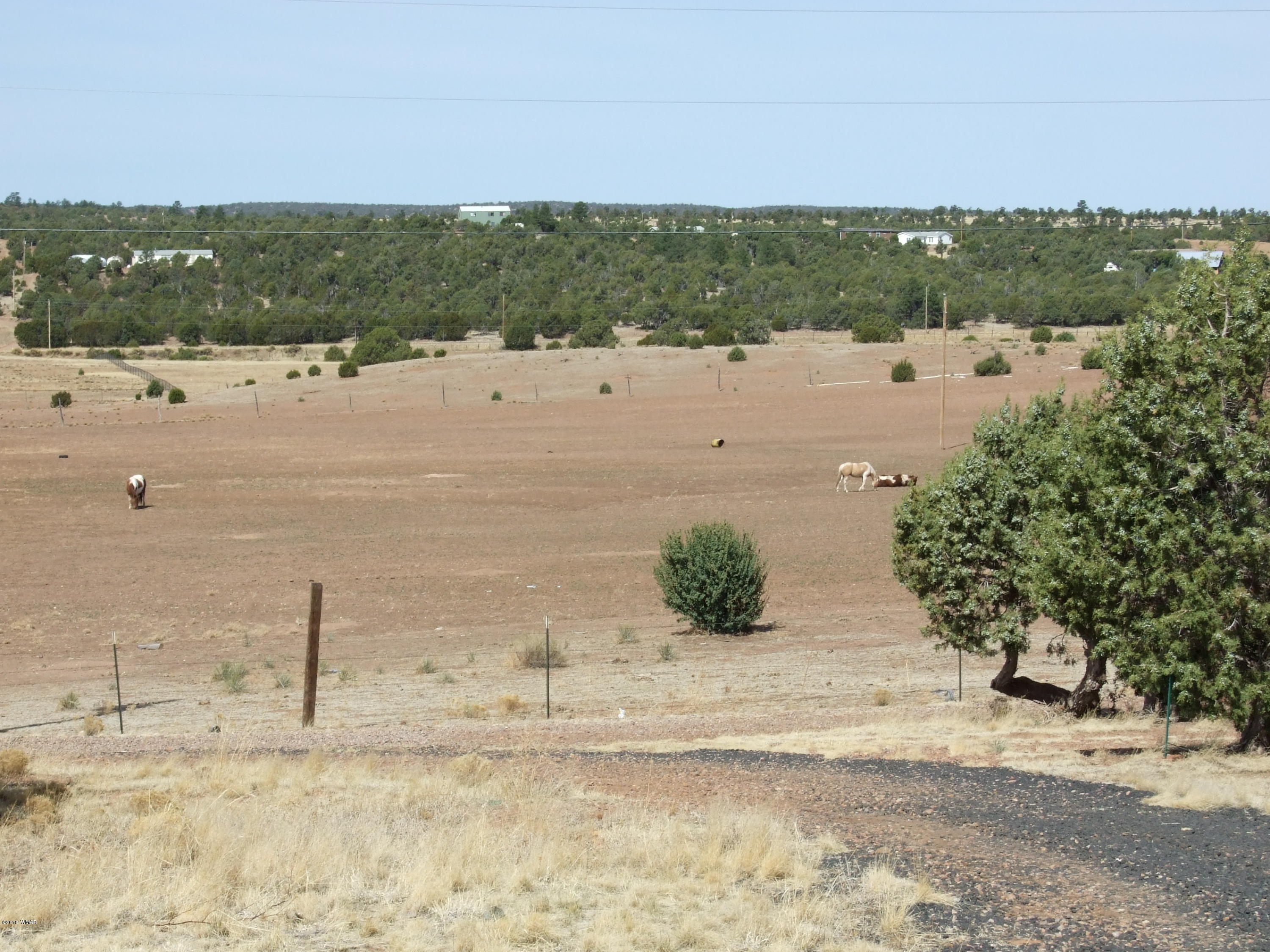 2195 Graphite Road Clay Springs, AZ 85923 - Photo 14 of 48 Gallery Image 14