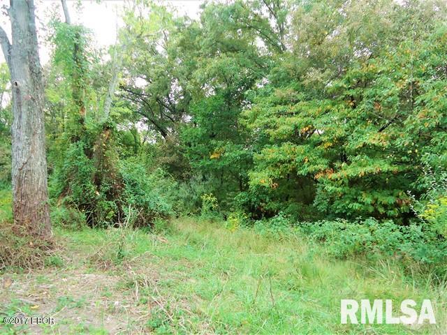 22639 Corinth Road Thompsonville, IL 62890 - Photo 2 of 6