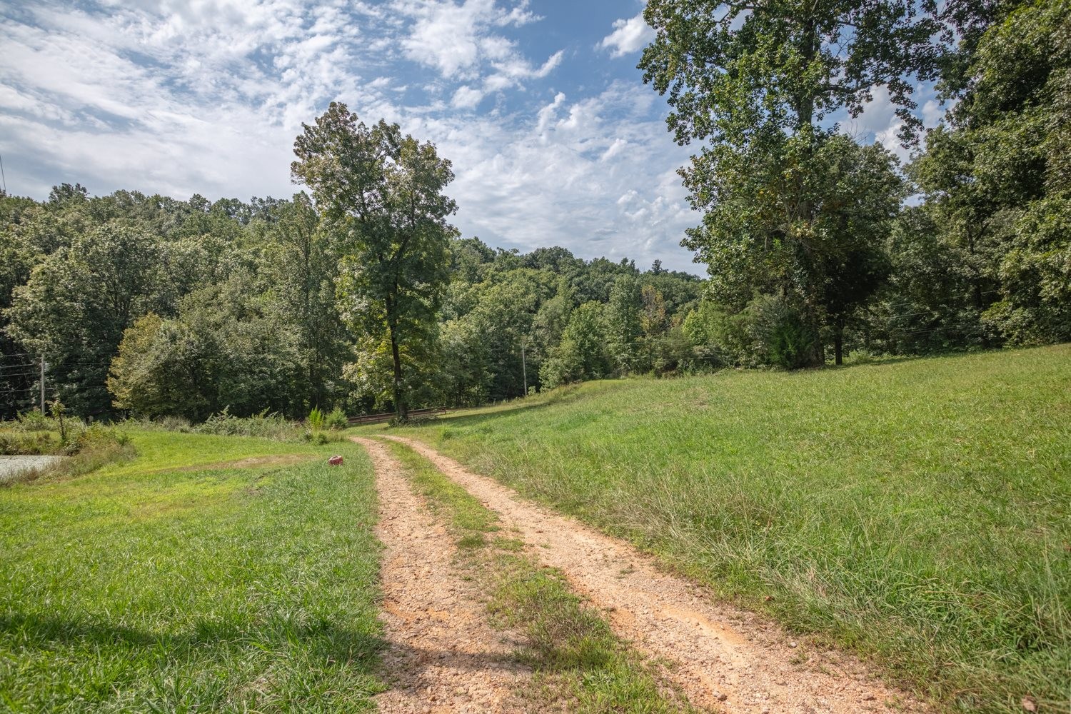 156 Tracy Road Hohenwald, TN 38462 - Photo 35 of 35 Gallery Image 35