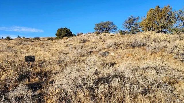 a view of a dry yard