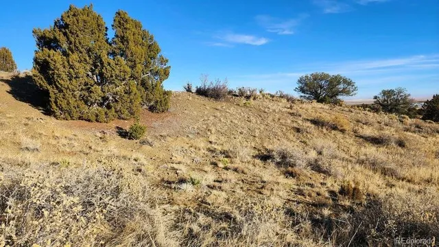 a view of a covered with snow in the background