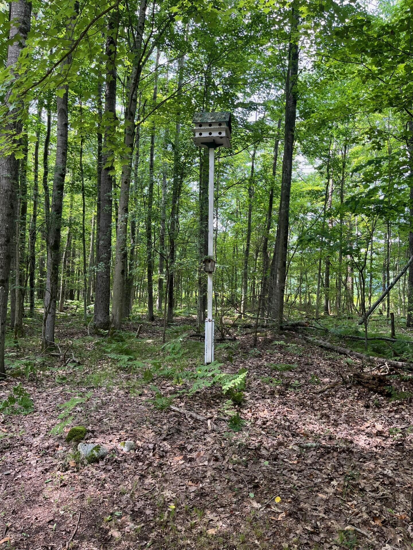 2355 Orchard Landing Road Brethren, MI 49619 - Photo 14 of 18 50a0f54c-ef88-42be-b919-823a60946820