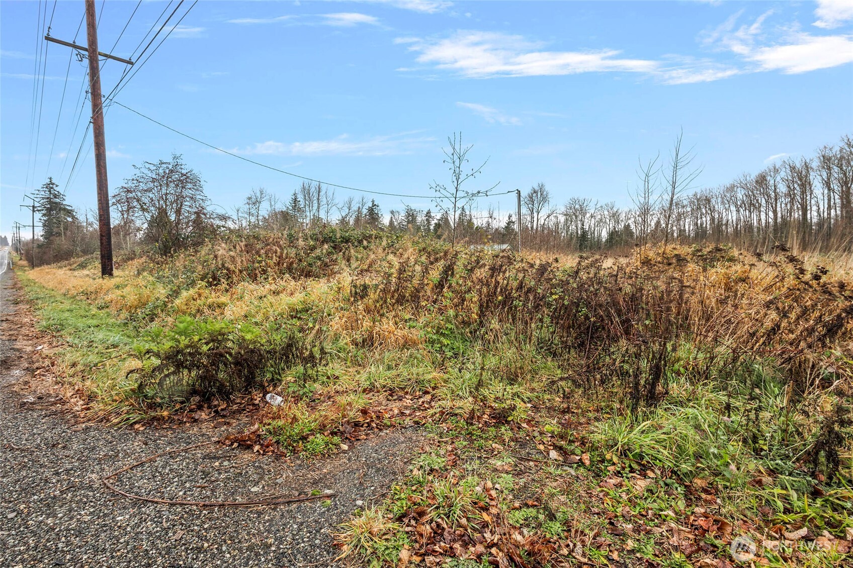 7125 Kickerville Road Ferndale, WA 98248 - Photo 1 of 4