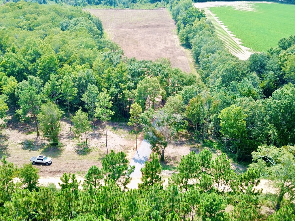 L1 New Hinson Road Slocomb, AL 36375 - Photo 14 of 30