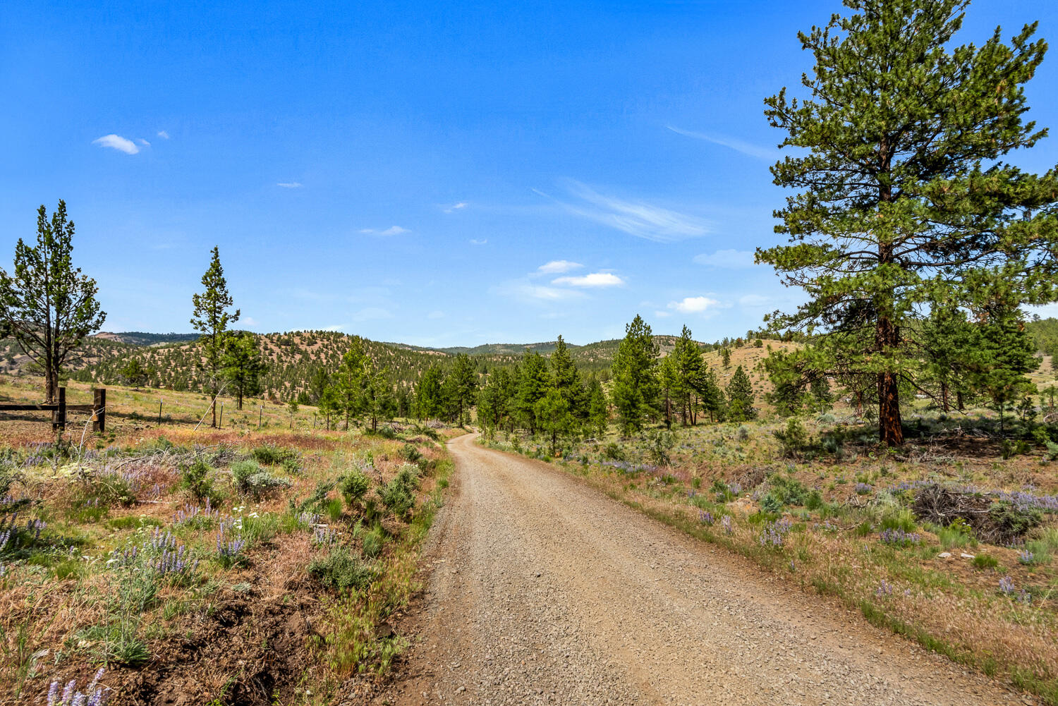 9988 Northeast Cody Ridge Road Prineville, OR 97754 - Photo 43 of 49 Cody Ridge 043