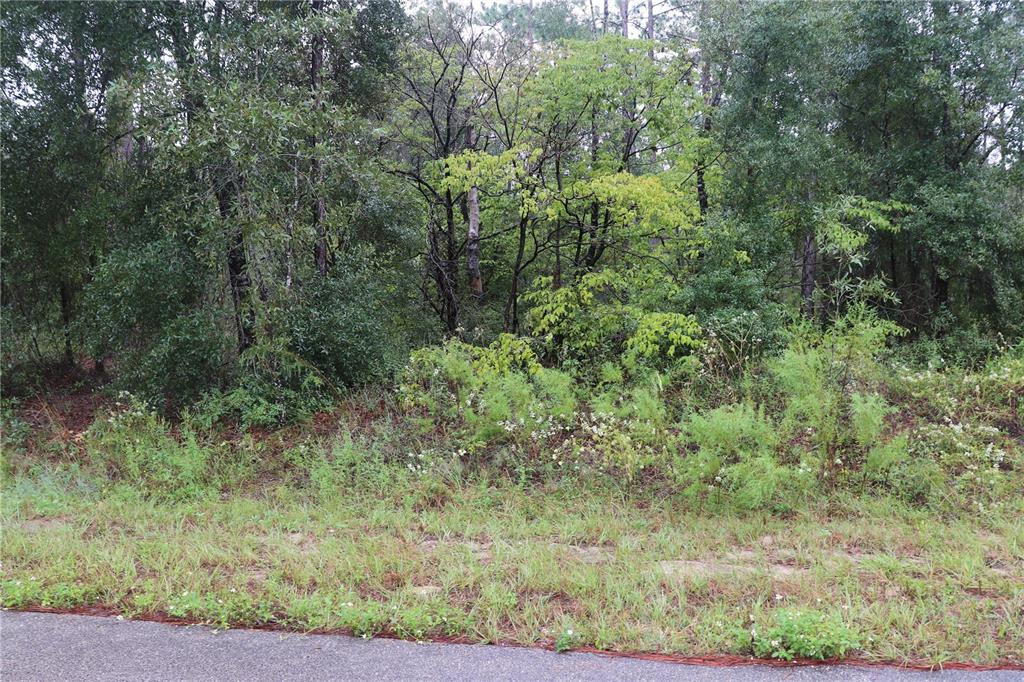 0 Northwest Beuna Vista Road Dunnellon, FL 34431 - Photo 4 of 7