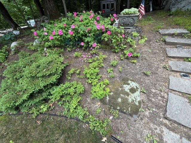 66 Whipplewill Road New Boston, NH 03070 - Photo 40 of 51