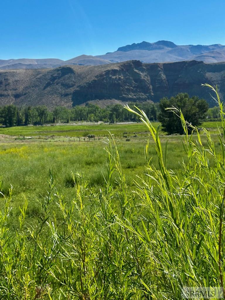 5 Homestead Trail Challis, ID 83226 - Photo 4 of 23