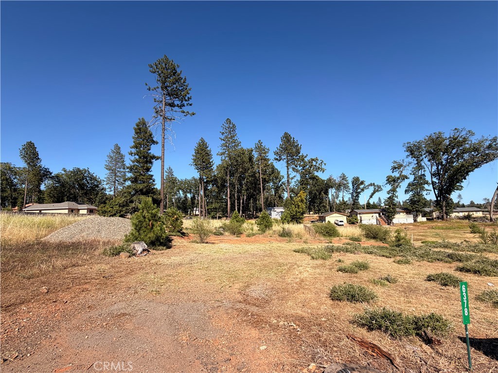 6378 Lucky John Road Paradise, CA 95969 - Photo 6 of 9