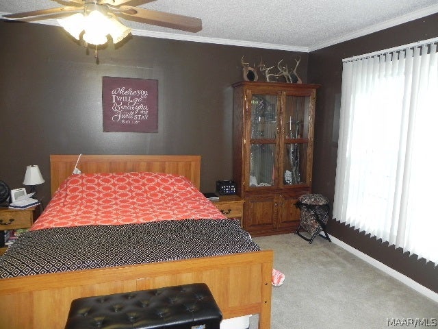8125 Judge Logue Road Newton, AL 36352 - Photo 21 of 36 Gallery Image 21