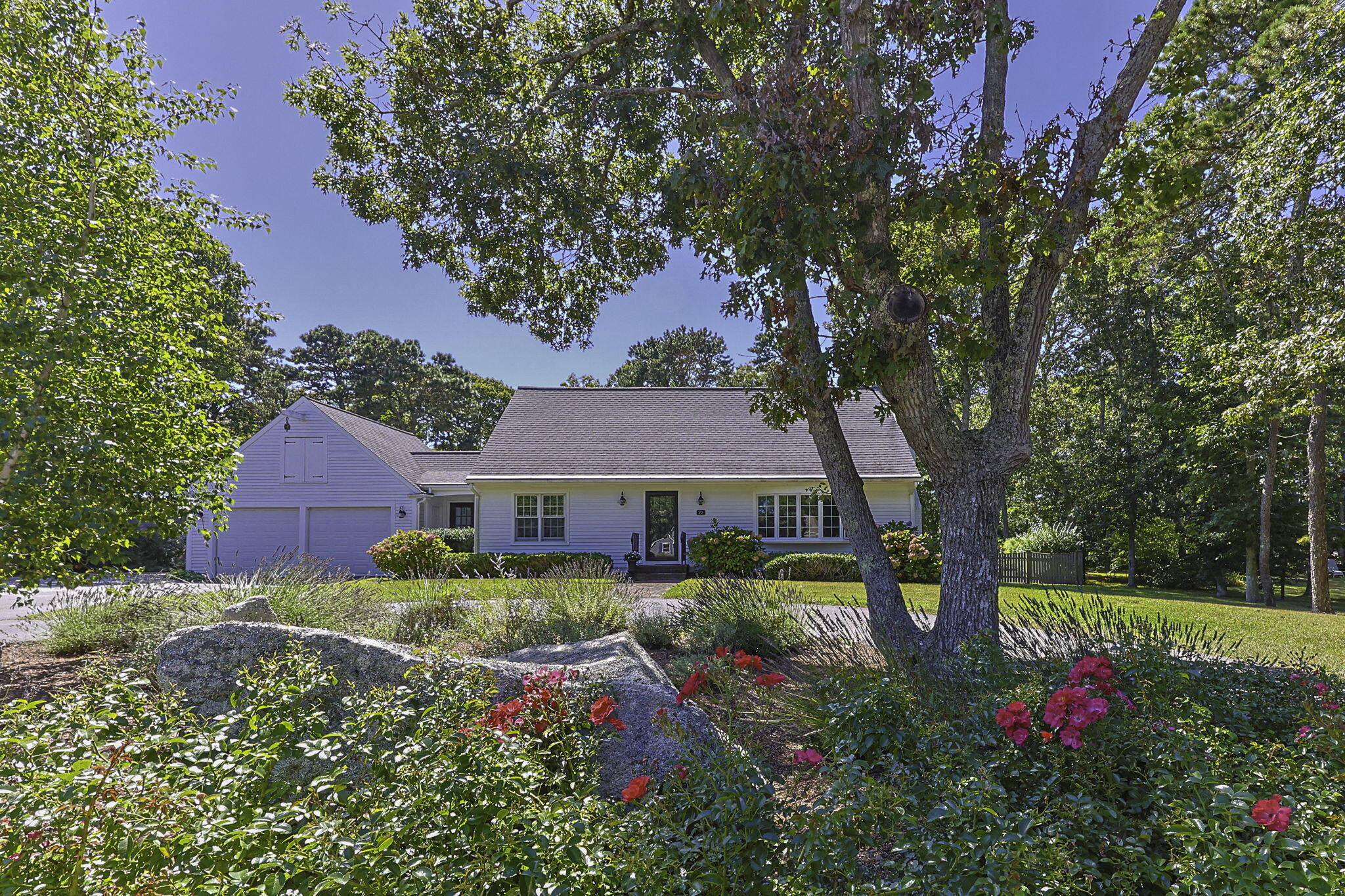 73 Joshua Jethro Road Chatham, MA 02633 - Photo 2 of 53 a view of a house with a big yard and a large tree