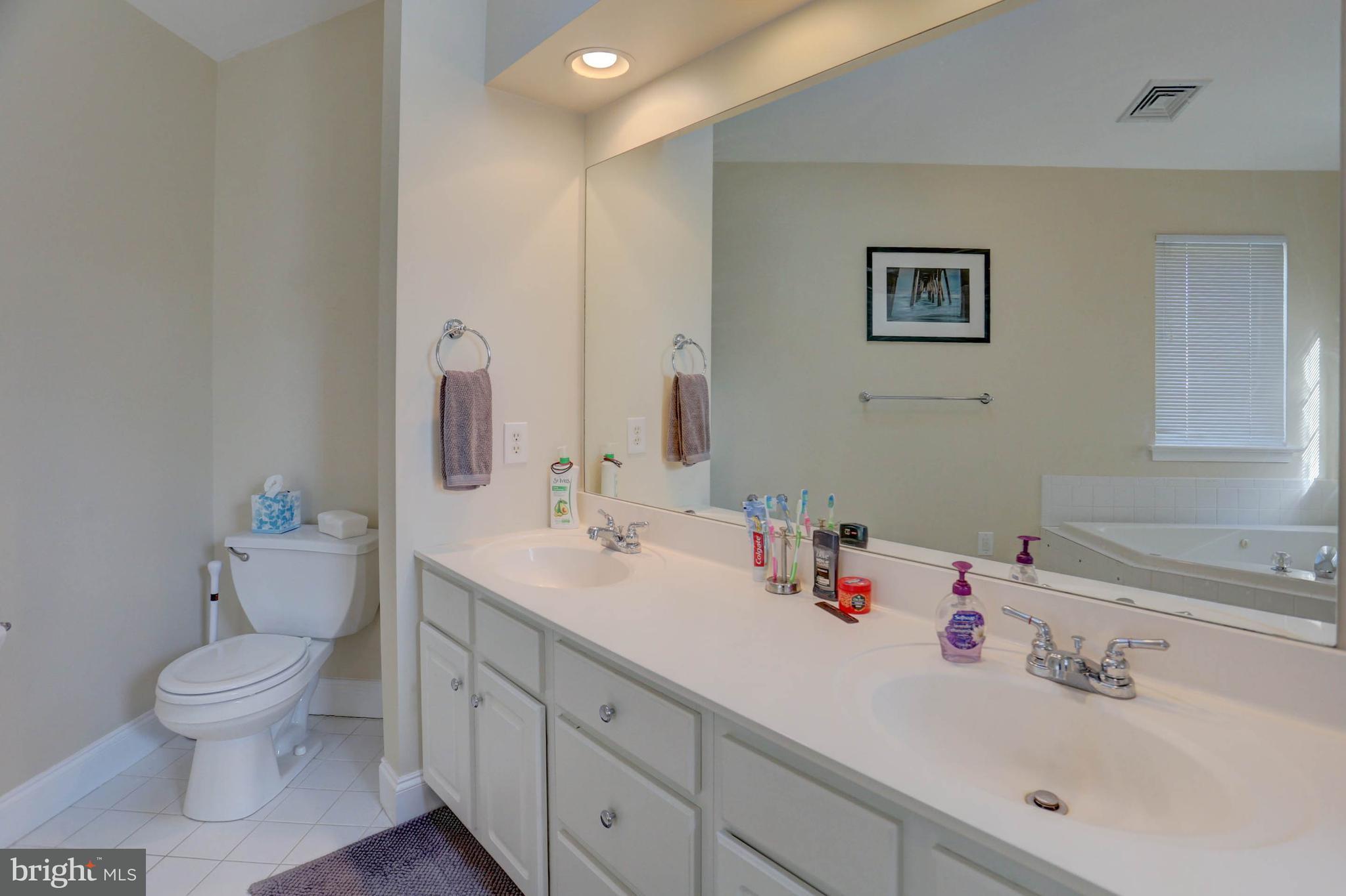 1009 Stillwood Circle Lititz, PA 17543 - Photo 19 of 29 master bath with double vanity