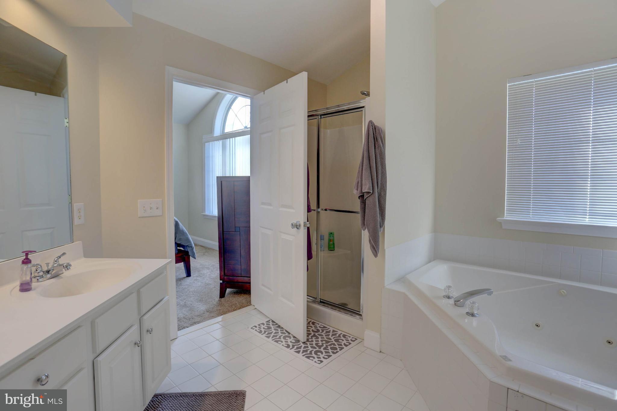 1009 Stillwood Circle Lititz, PA 17543 - Photo 20 of 29 large tub