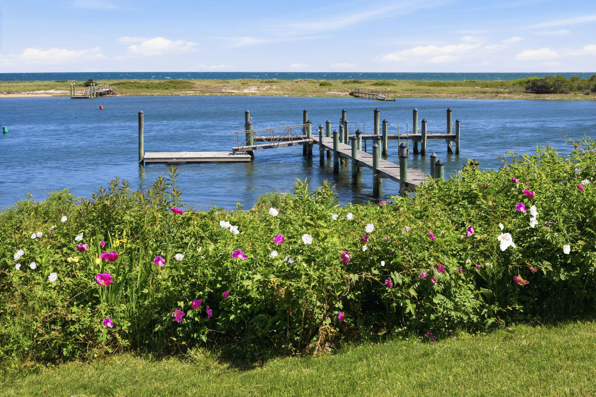 63 Main Street Osterville, MA 02655 - Photo 7 of 48 Rosa Rugosa