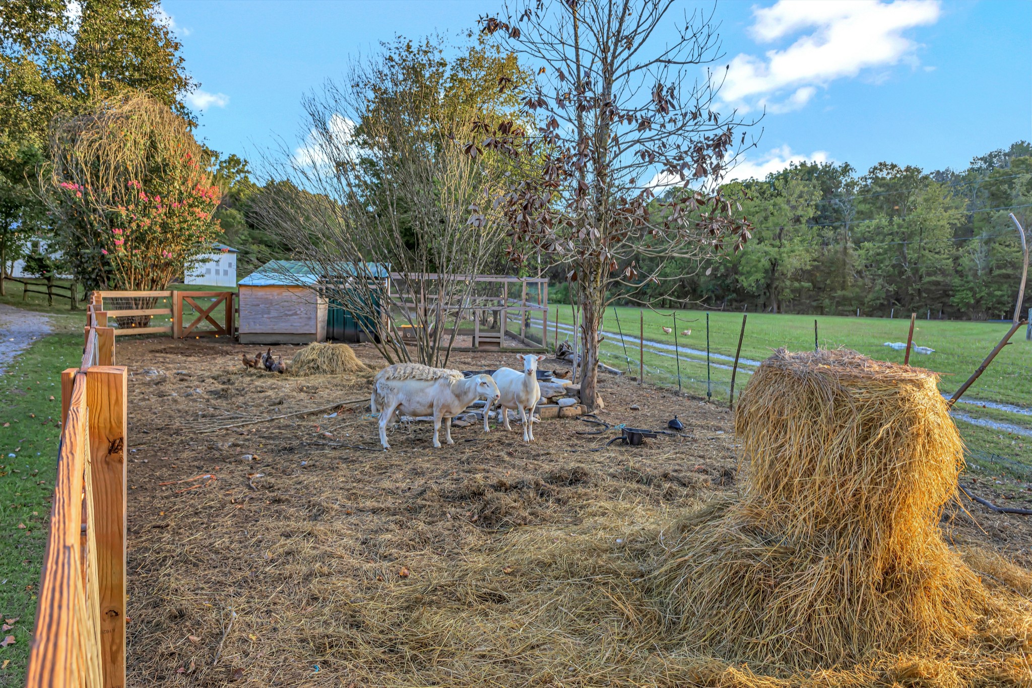 826 Norton Branch Road Beechgrove, TN 37018 - Photo 15 of 72