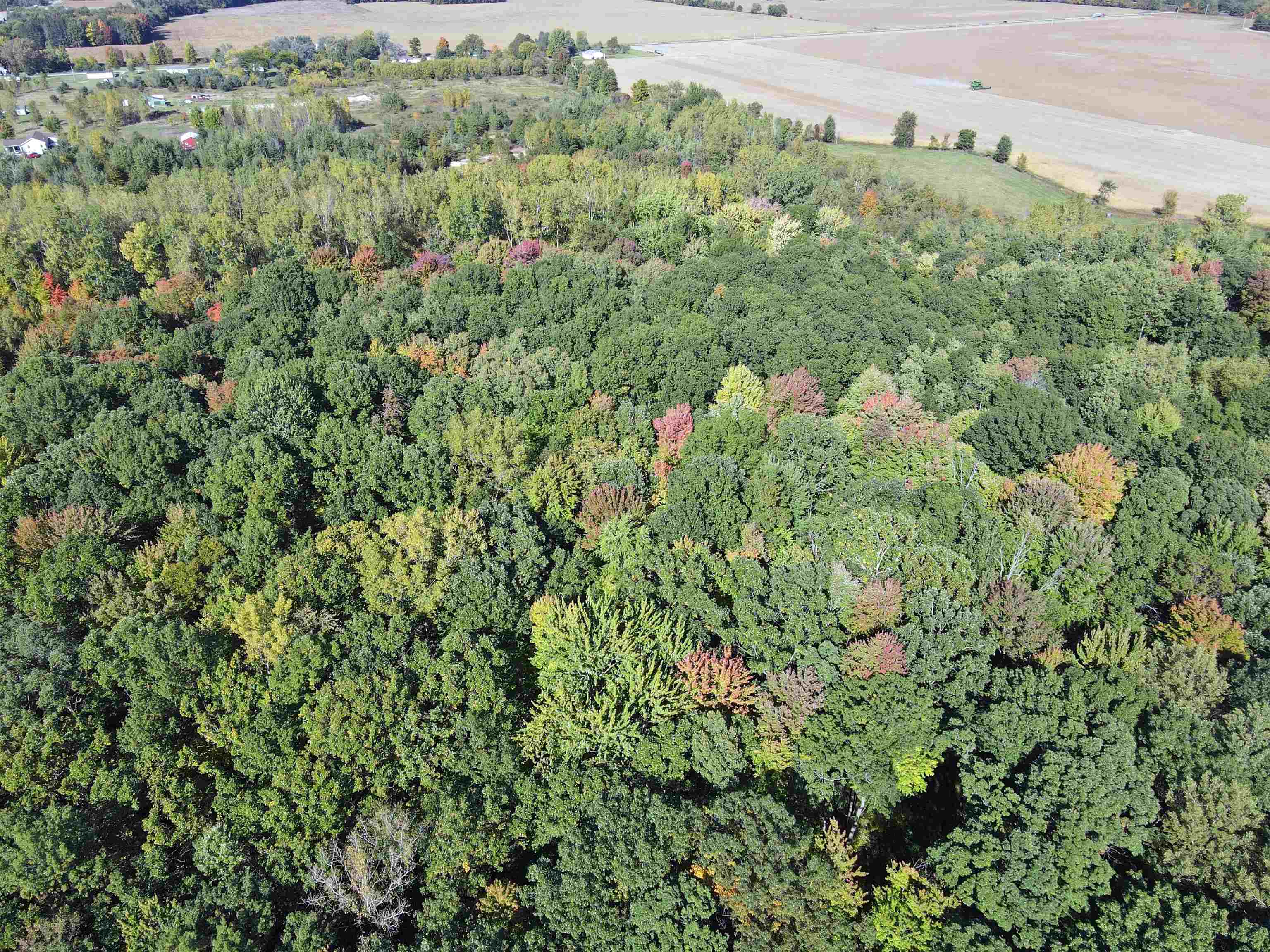 15431 Fowler Road Oakley, MI 48649 - Photo 6 of 29