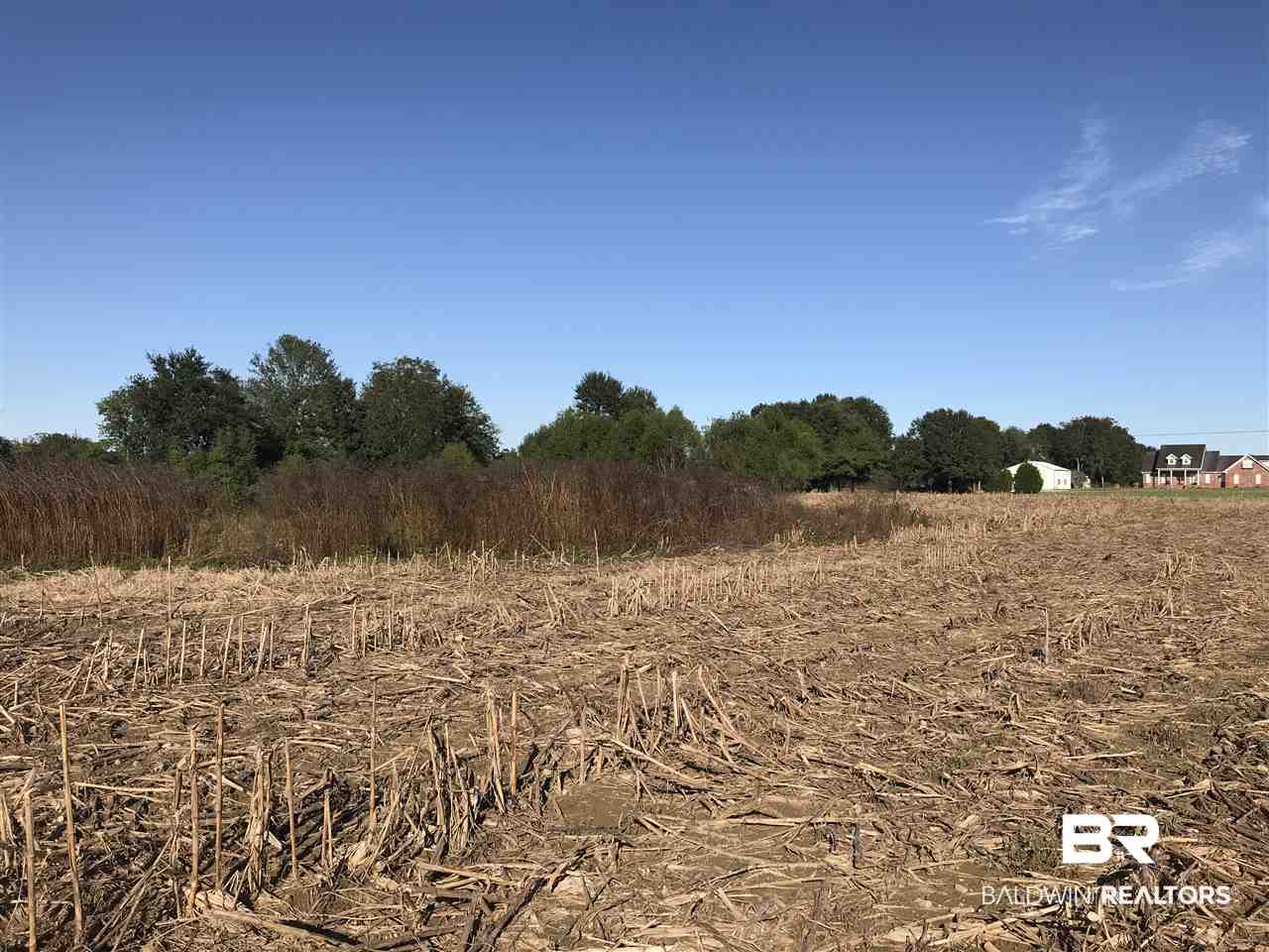 Langforoad Road Fairhope, AL 36532 - Photo 2 of 9