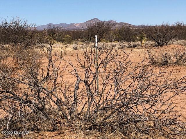 Tbd North High Lonesome Road, Unit 124 McNeal, AZ 85617 - Photo 7 of 13