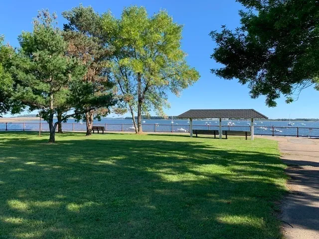 a view of a park with large trees