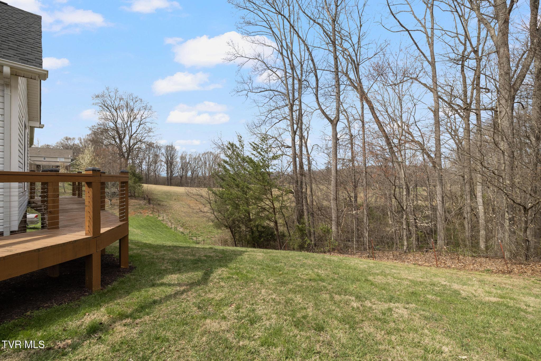 31 Hickory Point Jonesborough, TN 37659 - Photo 55 of 59 Back/side yard