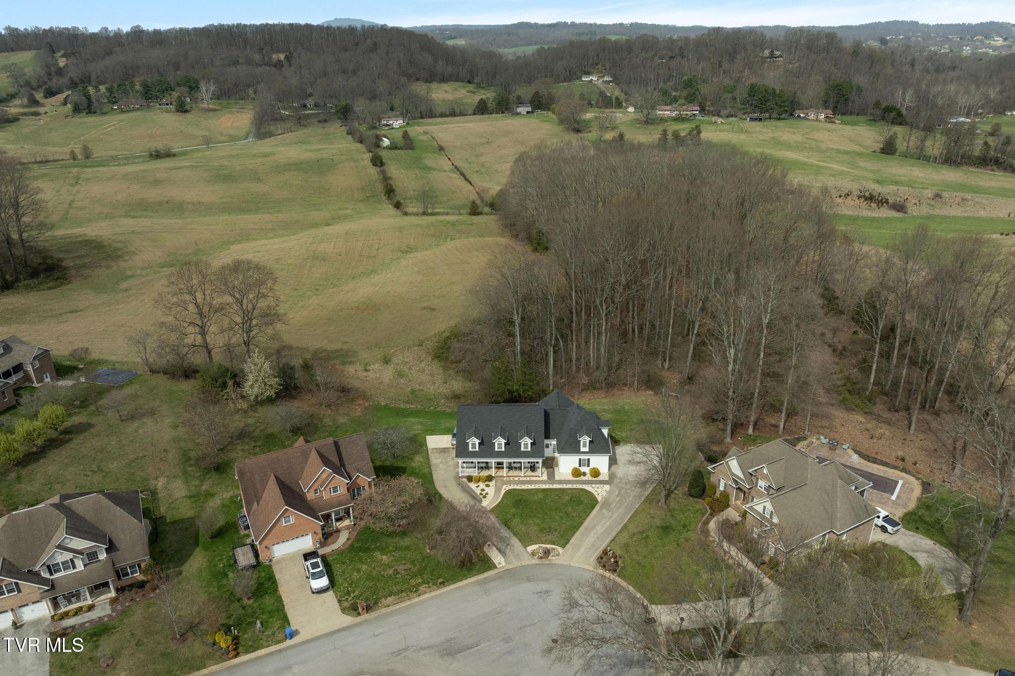 31 Hickory Point Jonesborough, TN 37659 - Photo 57 of 59 Aerial view
