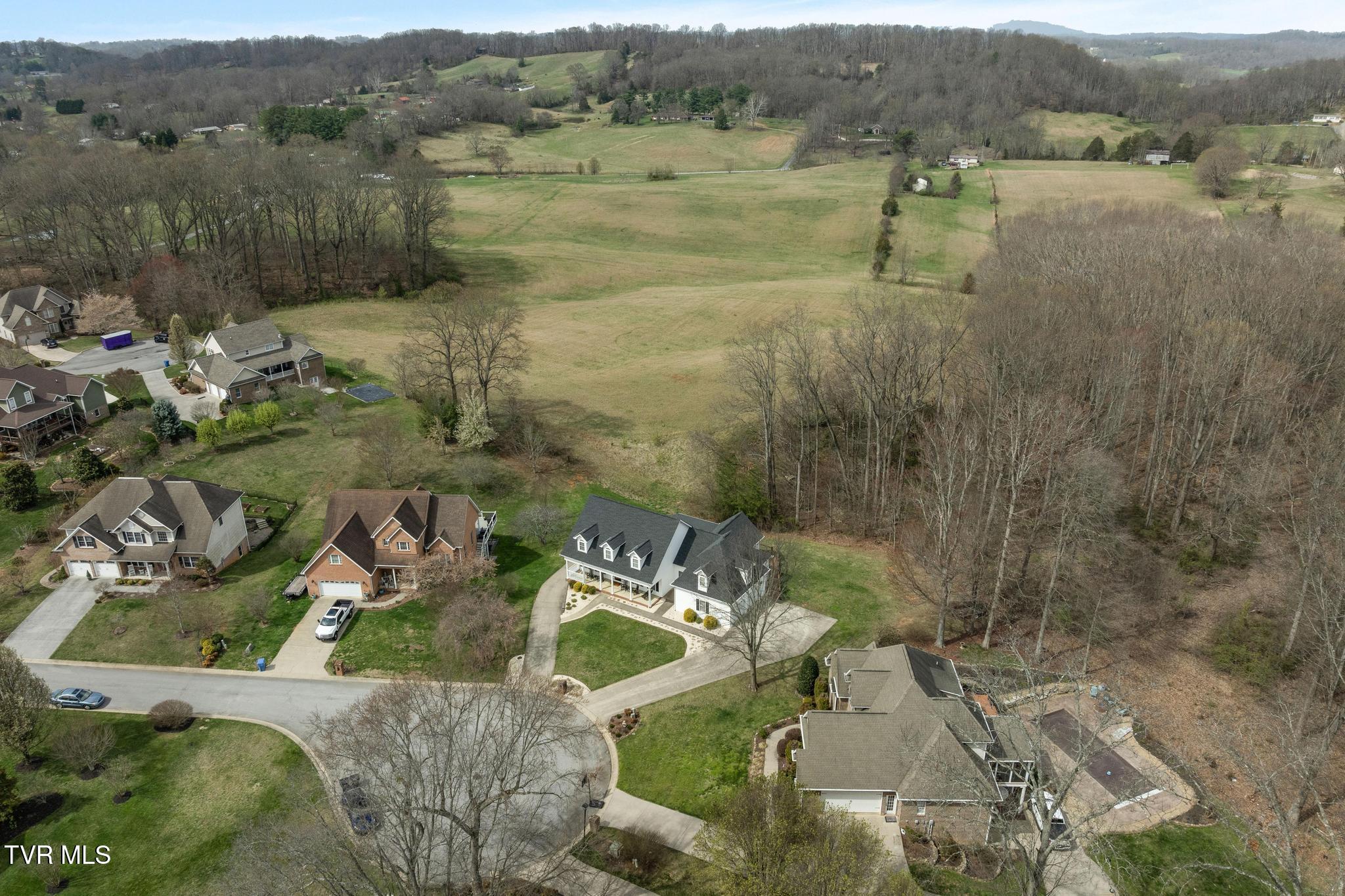 31 Hickory Point Jonesborough, TN 37659 - Photo 58 of 59 Aerial view