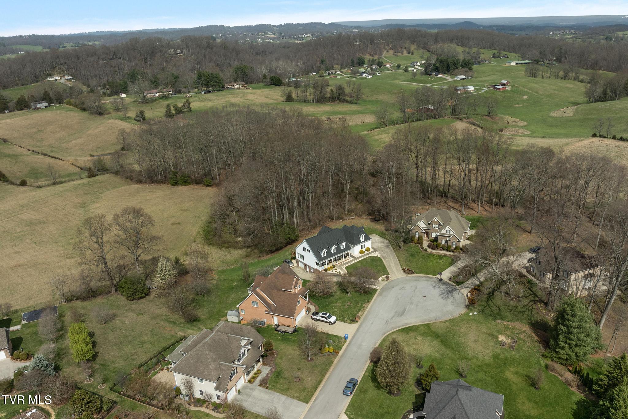31 Hickory Point Jonesborough, TN 37659 - Photo 59 of 59 Aerial view
