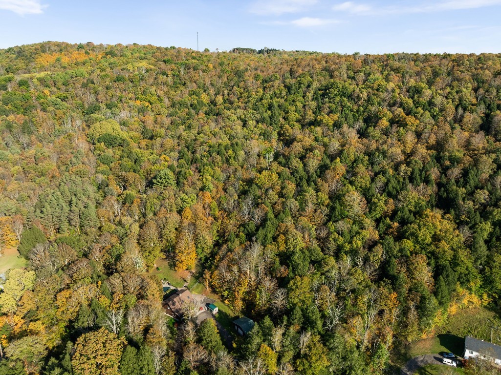 392 Edson Road Endicott, NY 13760 - Photo 41 of 44 Gallery Image 41