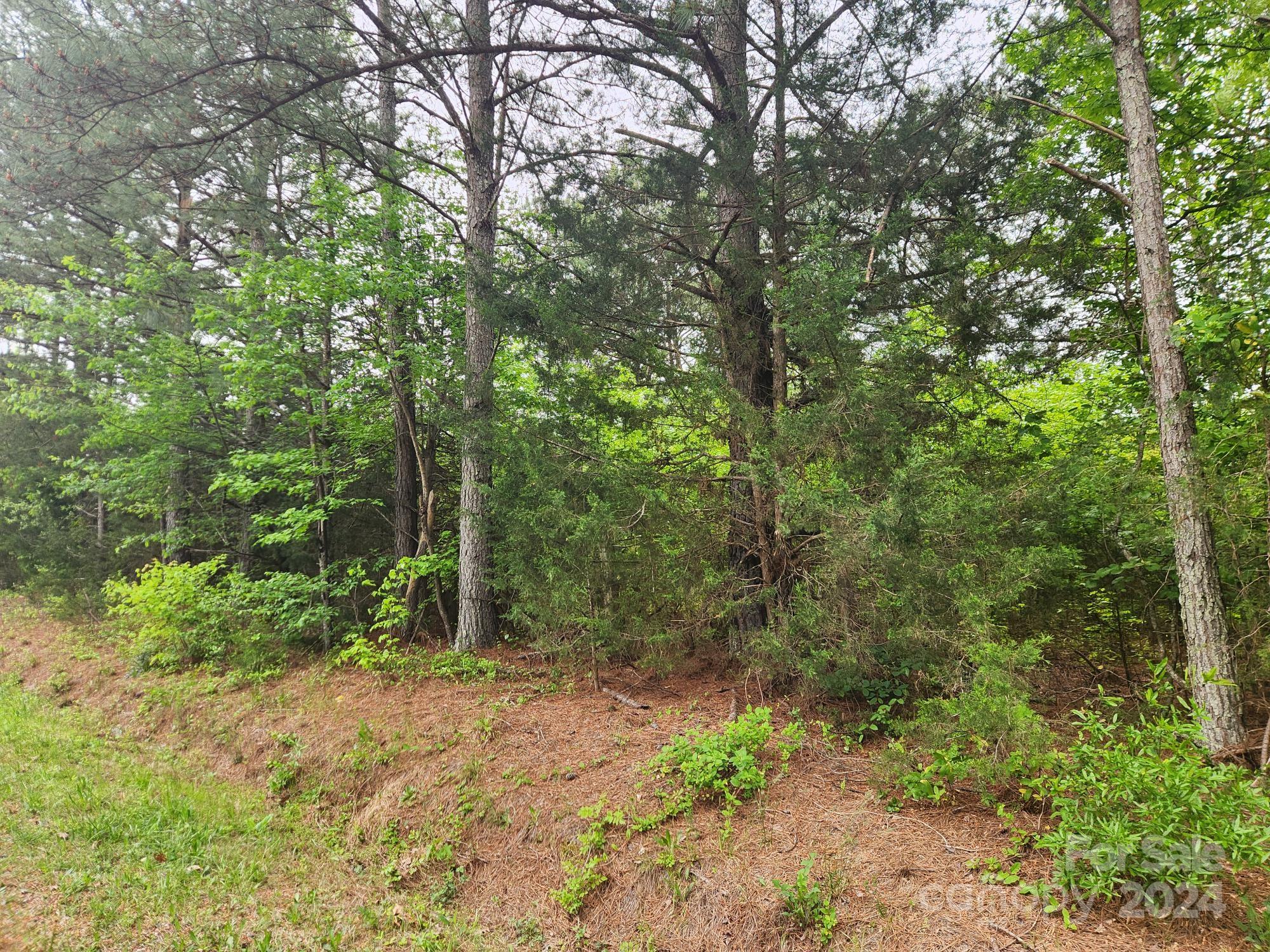 1742 Davis Farm Road, Unit 11 York, SC 29745 - Photo 4 of 7 Gallery Image 4