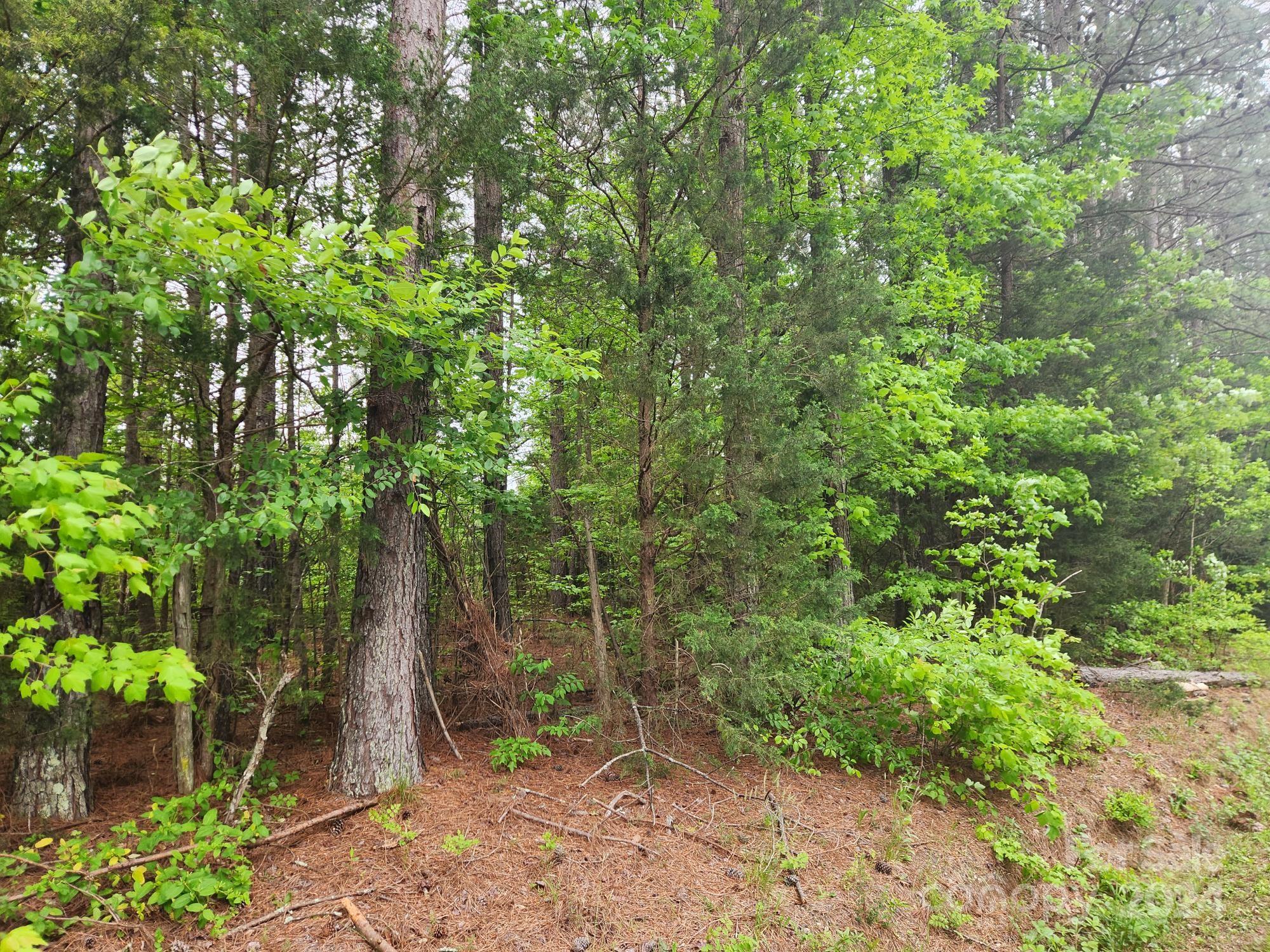 1742 Davis Farm Road, Unit 11 York, SC 29745 - Photo 5 of 7 Gallery Image 5